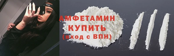 прущие грибы Надым
