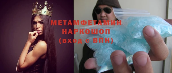 прущие грибы Надым