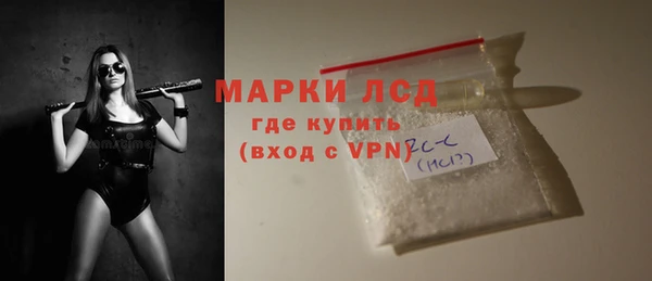 прущие грибы Надым
