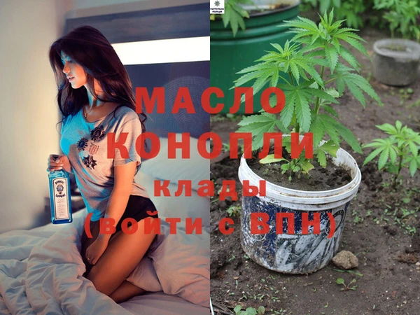 прущие грибы Надым
