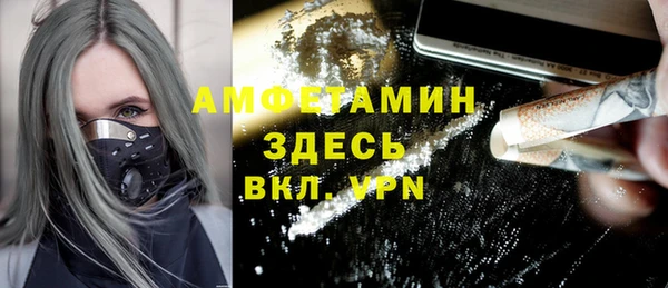 прущие грибы Надым