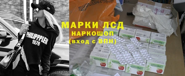 прущие грибы Надым