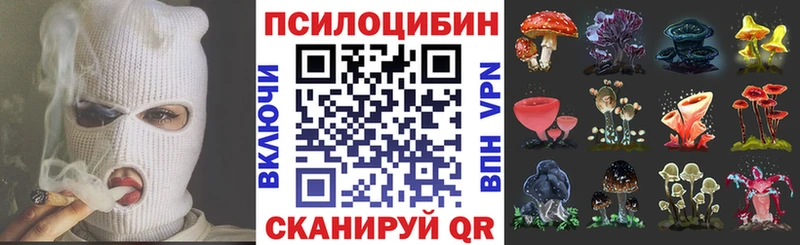 купить закладку  Новоуральск  Галлюциногенные грибы Psilocybine cubensis 