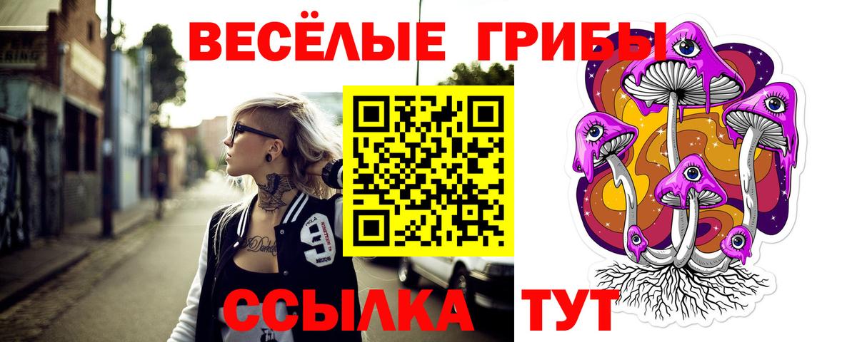 Псилоцибиновые грибы Psilocybe  Вход с VPN  Новоуральск 